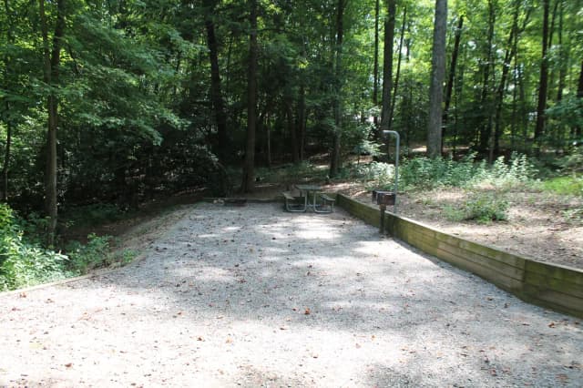 Grave site with table fire pit, and grill