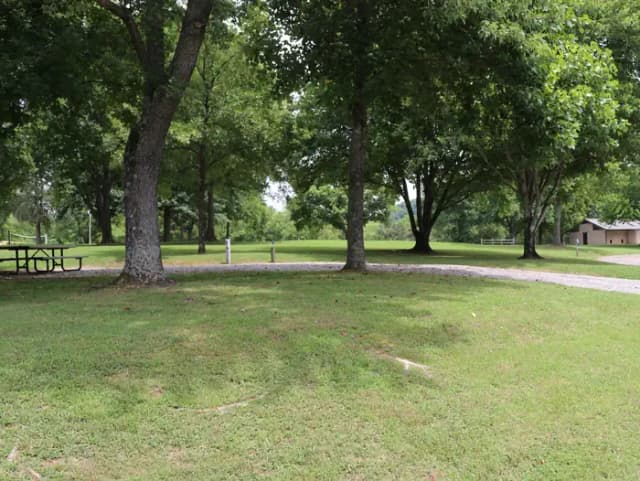 Campsite 29 Defeated Creek Campground