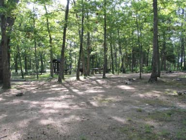 Group campsite C showing multiple tabels, fire rings, grill and food shelter