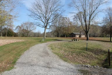 Campsite 30 Defeated Creek Campground