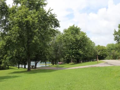 Campsite 31 Defeated Creek Campground
