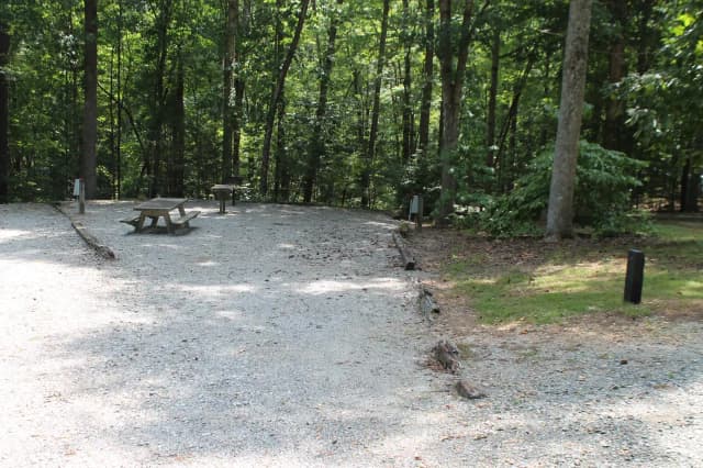 Loop B · Site 87 at Bandits Roost