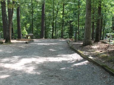Loop B · Site 96 at Bandits Roost