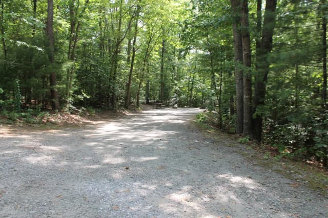Loop B · Site 84 at Bandits Roost
