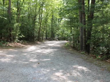 Loop B · Site 84 at Bandits Roost