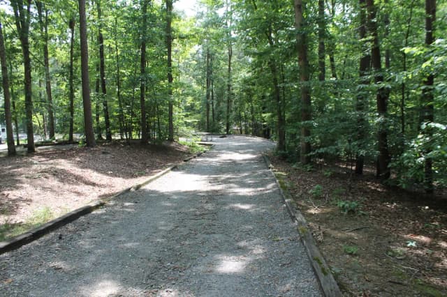 Loop B · Site 82 at Bandits Roost