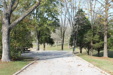 Campsite 36 Defeated Creek Campground