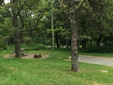 Campsite A60 has trees suitable for hammocks next to the driveway.