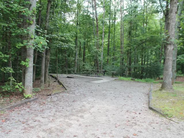 Gravel site with table, fire pit, grill