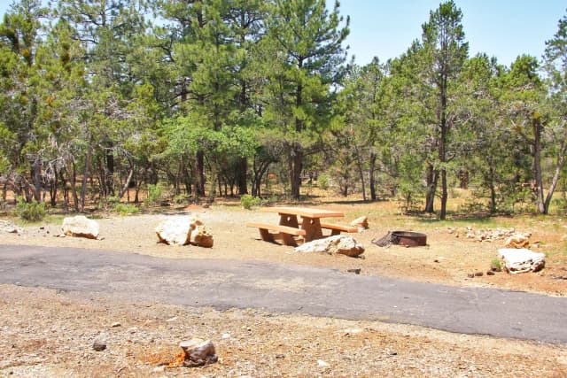 Picnic table, fire pit, and parking spot, Mather Campground
