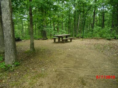 Walk-in campsite 4 showing picnic table, lantern post and fire ring.