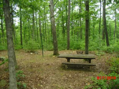 Walk-in campsite 8 showing picnic table, lantern post and fire ring.