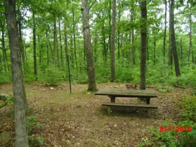Walk-in Campsite 8