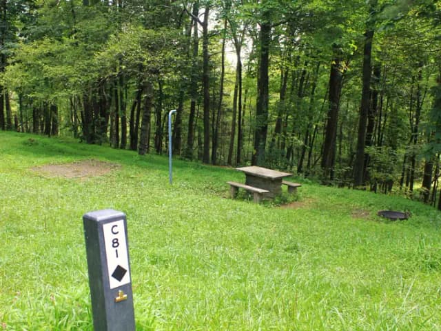 C81 Tent Site Photo