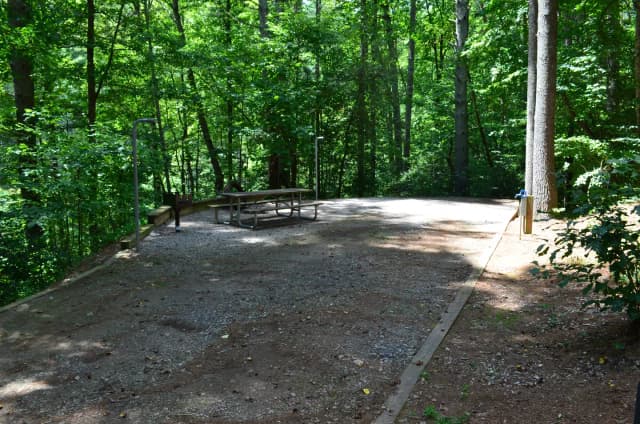 Long gravel site with table, grill, fire pit, surrounded by trees