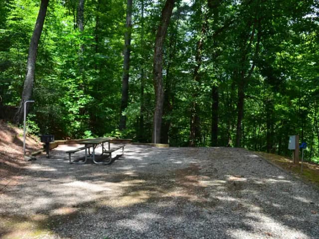 Gravel site with fire pit, table, grill with dense tree coverage