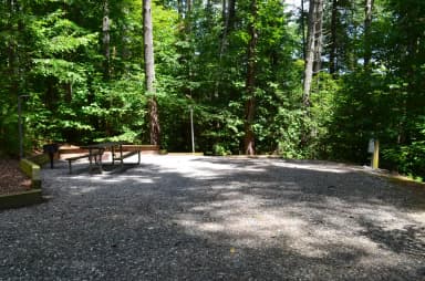 Gravel site with fire pit, table, grill with dense tree coverage
