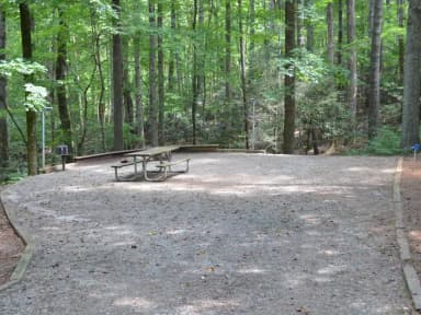 Gravel site with fire pit, table, grill  surrounded by tall pines