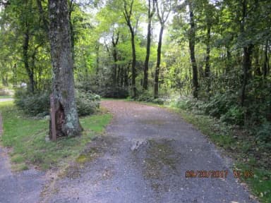 Site E137 Driveway