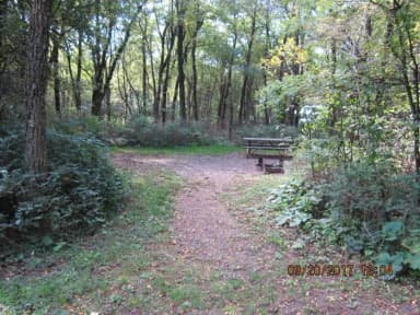 Site E137
