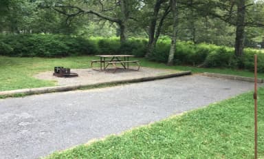 Reserve-able campsite A81