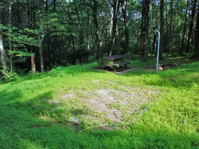 C93 Tent Site Photo