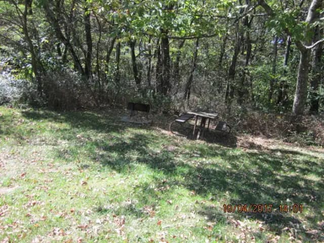 Loft Mountain Campground - Site D111