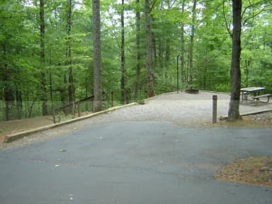 Site 71