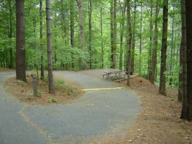 Site 73