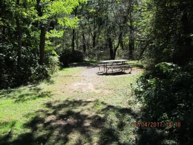 Loft Mountain Campground - Site D113