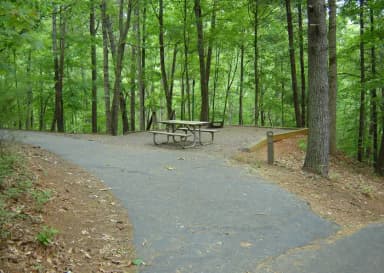 Site 75