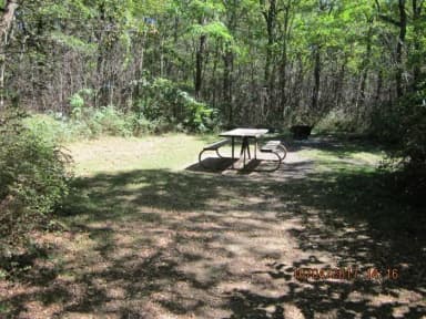 Loft Mountain Campground - Site D114