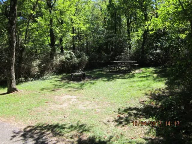 Loft Mountain Campground - Site D115