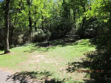 Loft Mountain Campground - Site D115