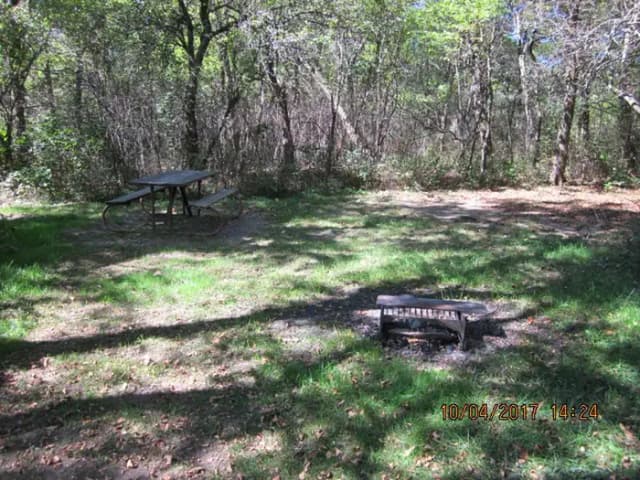 Loft Mountain Campground - Site D116