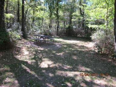 Loft Mountain Campground - Site D117