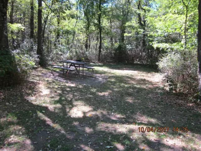 Loft Mountain Campground - Site D117