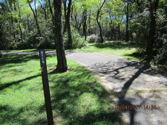 Loft Mountain Campground - Site D119