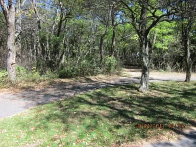 Loft Mountain Campground - Site D120