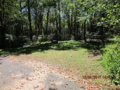 Loft Mountain Campground - Site D121