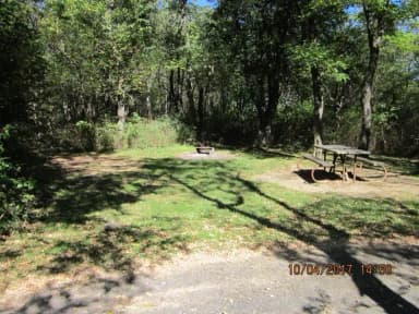 Loft Mountain Campground - Site D122