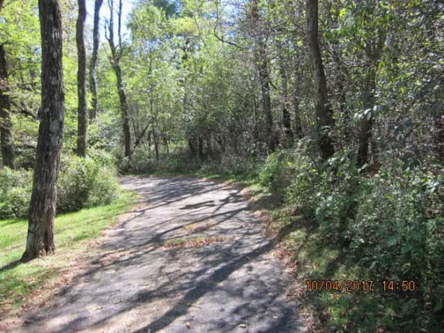 Loft Mountain Campground - Site D123