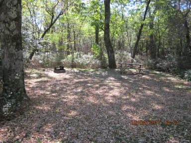 Loft Mountain Campground - Site D123