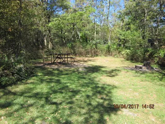 Loft Mountain Campground - Site D124