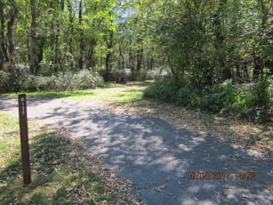 Loft Mountain Campground - Site D125