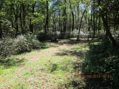 Loft Mountain Campground - Site D125