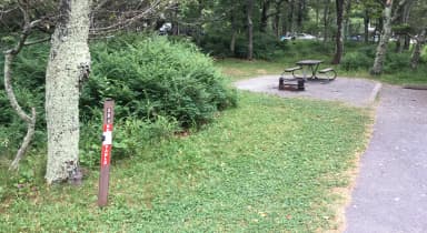 Reserve-able campsite A84