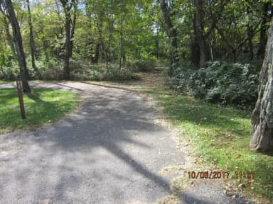 Loft Mountain Campground - Site D127