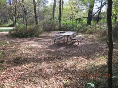Loft Mountain Campground - Site D127