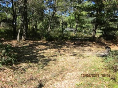 Loft Mountain Campground - Site D128